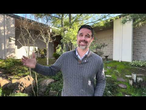 Adam Weeks — Cirrus Influence introduction
